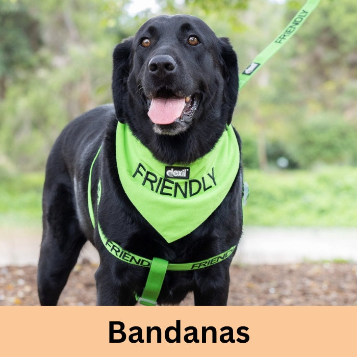 Training Bandanas The Savvy Pet Co