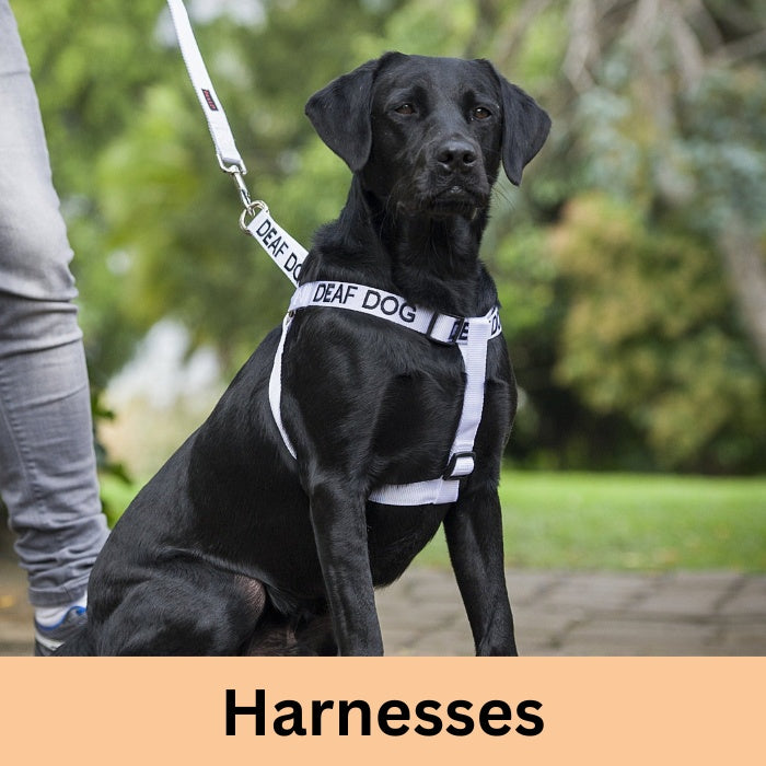 Training Harnesses The Savvy Pet Co