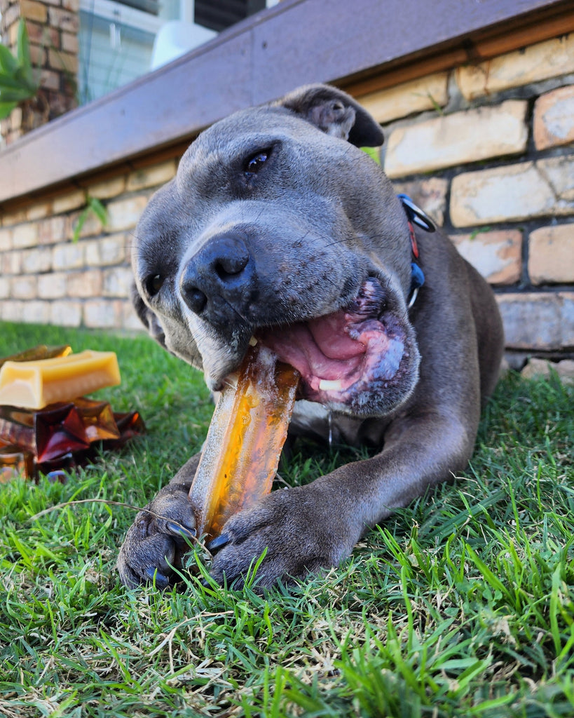 Bone Marrow Chews - Chicken & Parsley