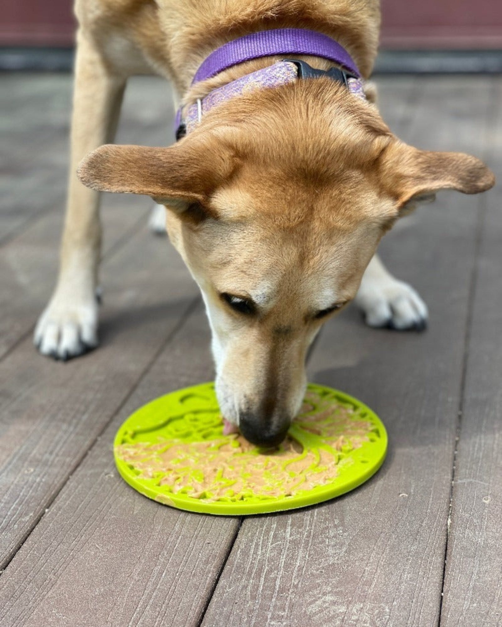 Lick Pad for Dog Cat Slower Feeder Licky Mat for Puppy Kitten